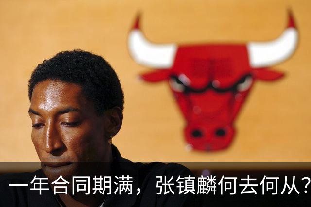 一年合同期满，张镇麟何去何从？两条路可走，看上海诚意如何了