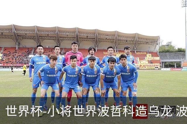 世界杯-小将世界波哲科造乌龙 波黑半场暂2-1卡塔尔