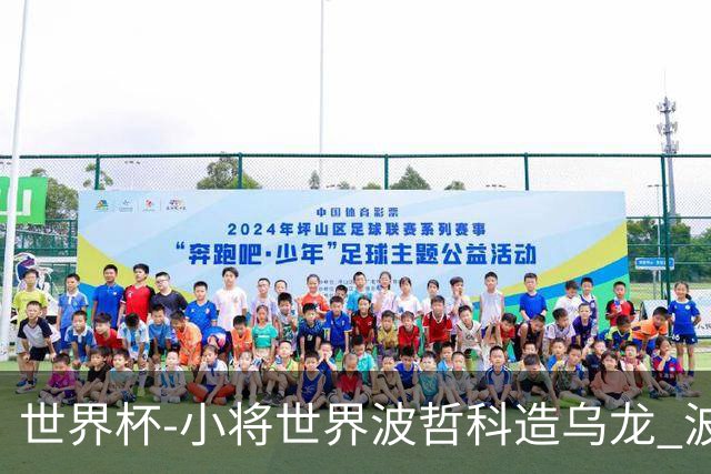 世界杯-小将世界波哲科造乌龙 波黑半场暂2-1卡塔尔