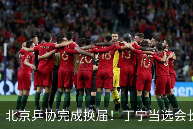 北京乒协完成换届！丁宁当选会长 刘国正等人当选副会长