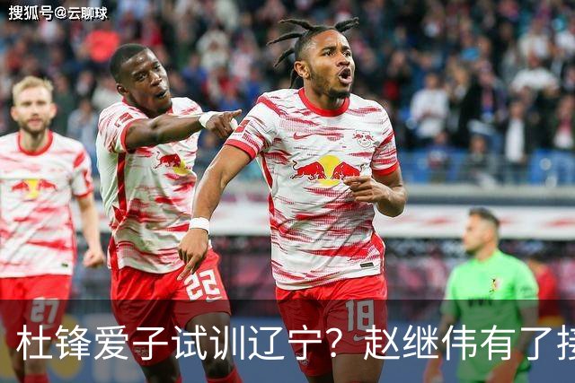 杜锋爱子试训辽宁？赵继伟有了接班人乐坏辽蜜 结果亲妈辟谣了