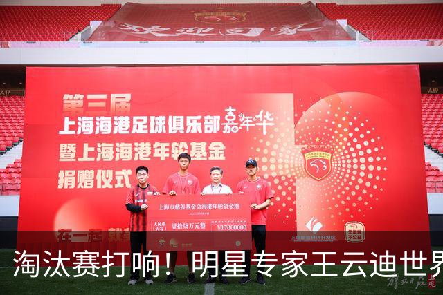 淘汰赛打响！明星专家王云迪世界杯7连红领衔红单