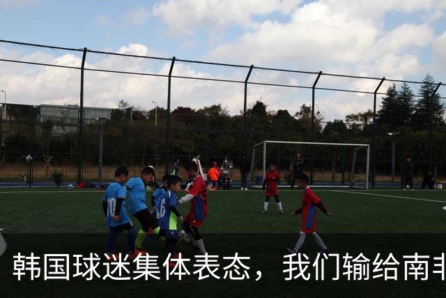 韩国球迷集体表态，我们输给南非，是因为中国国足坑了我们